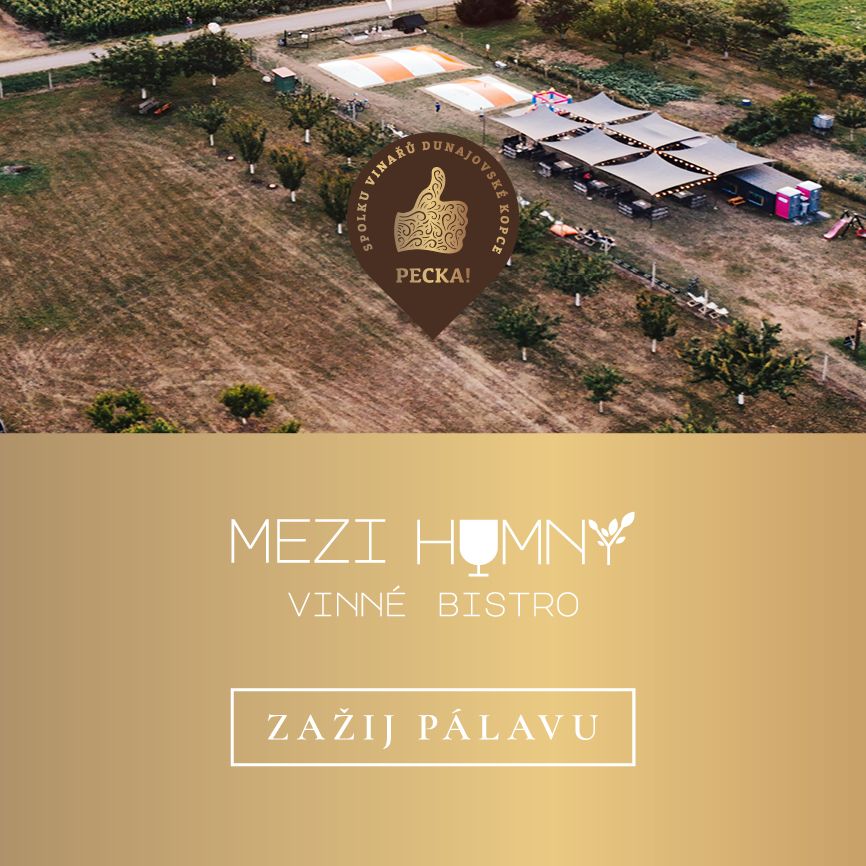 MEZI HUMNY