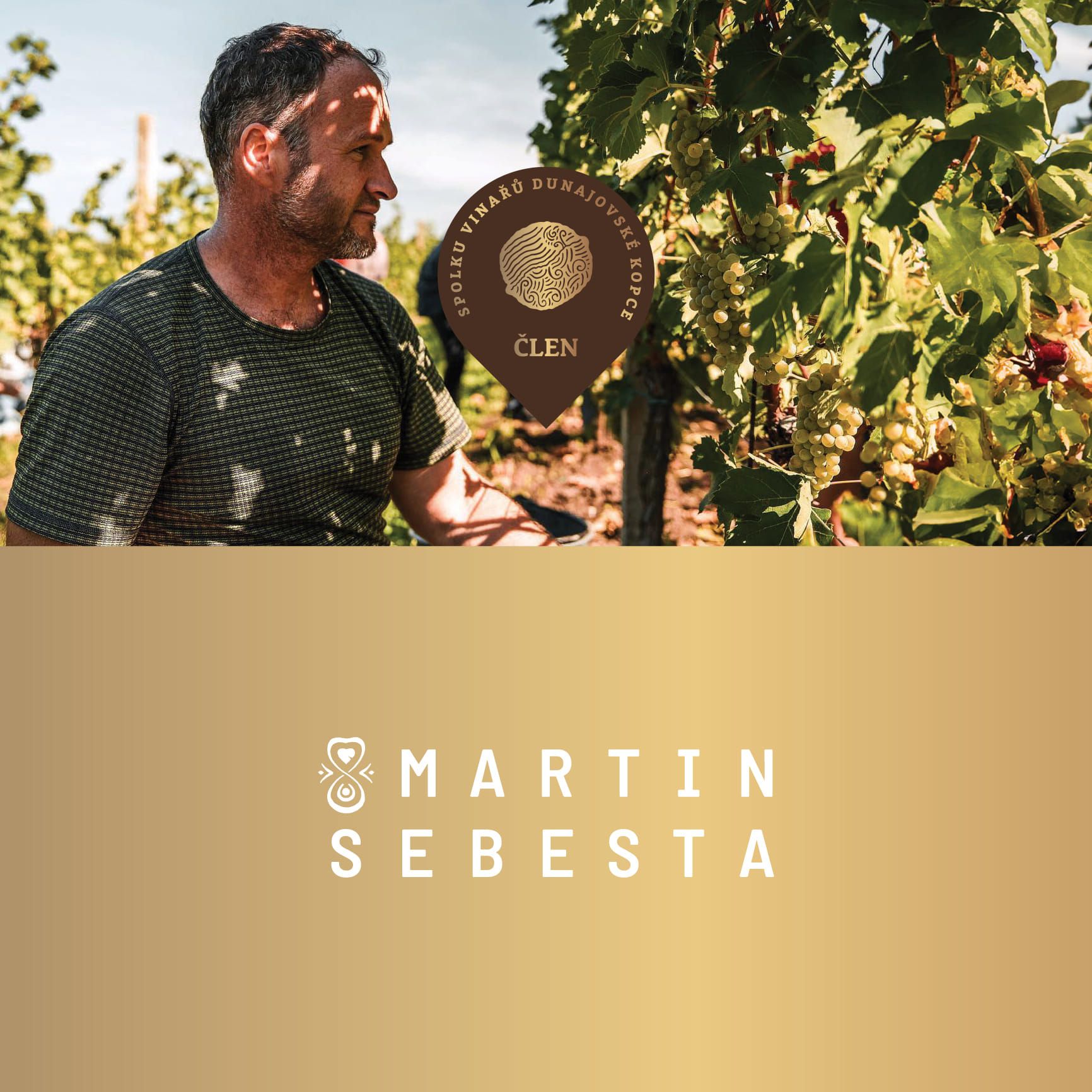 Vinařství Martin Šebesta